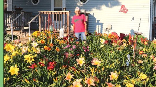 Bauermeister’s blooms are beautiful sight