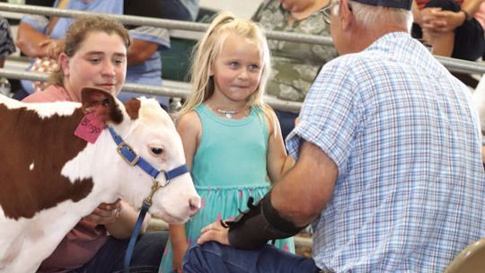 Heat puts wet blanket on fair activities