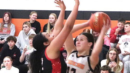 Lady Tiger basketball season is recapped; Miller holds school record