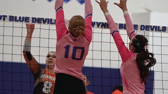 LADY TIGERS FALL IN DISTRICT VOLLEYBALL ACTION