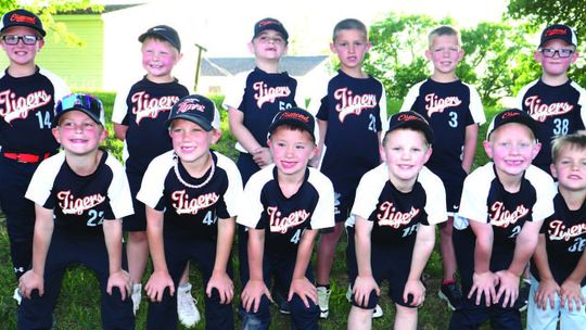 Meet the baseball teams!
