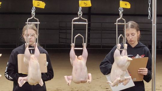 Osmond FFA soars to first place at District Poultry Contest