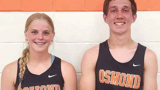 Tigers headed to state track meet