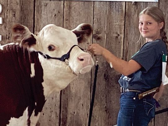 — 4-H Champions and Reserve Champions —
