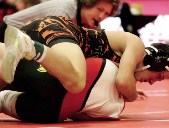 Gardner, Vinson lead Tiger wrestlers at Winside
