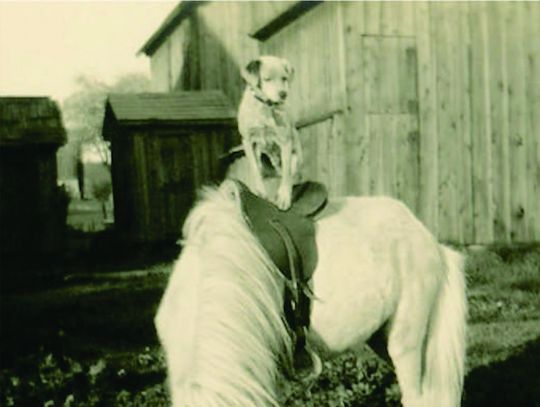 Gentry’s Dog and Pony Show in Nebraska