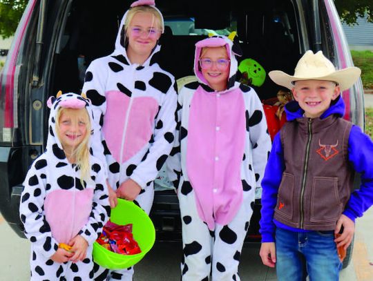 Getting ready for the big day. . .