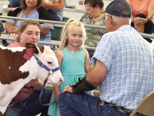Heat puts wet blanket on fair activities