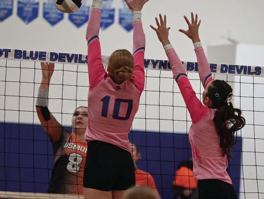LADY TIGERS FALL IN DISTRICT VOLLEYBALL ACTION