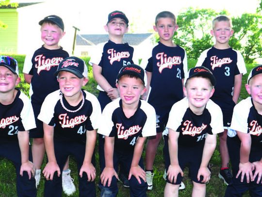 Meet the baseball teams!