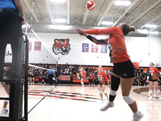 OHS Tiger Tales/Pirate News