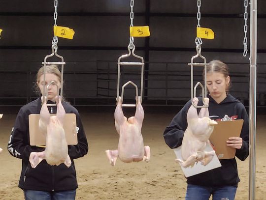 Osmond FFA soars to first place at District Poultry Contest