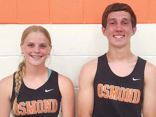 Tigers headed to state track meet