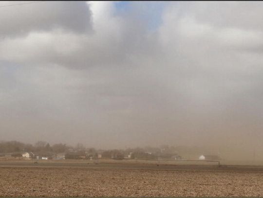 Wacky Winter Weather