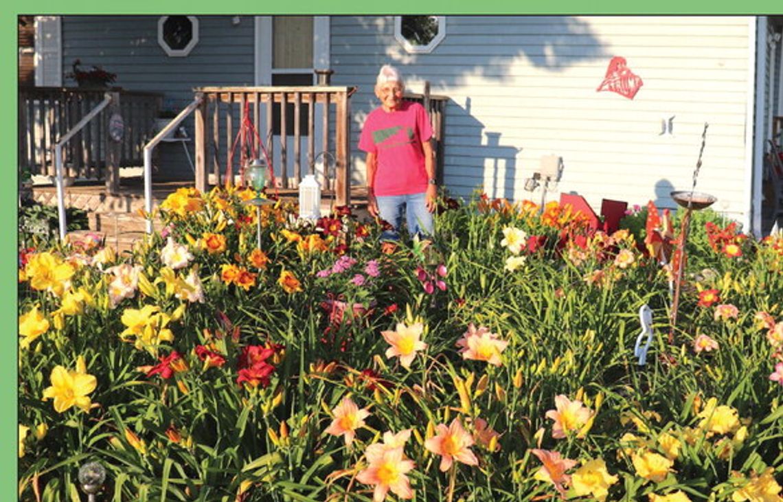 Bauermeister’s blooms are beautiful sight