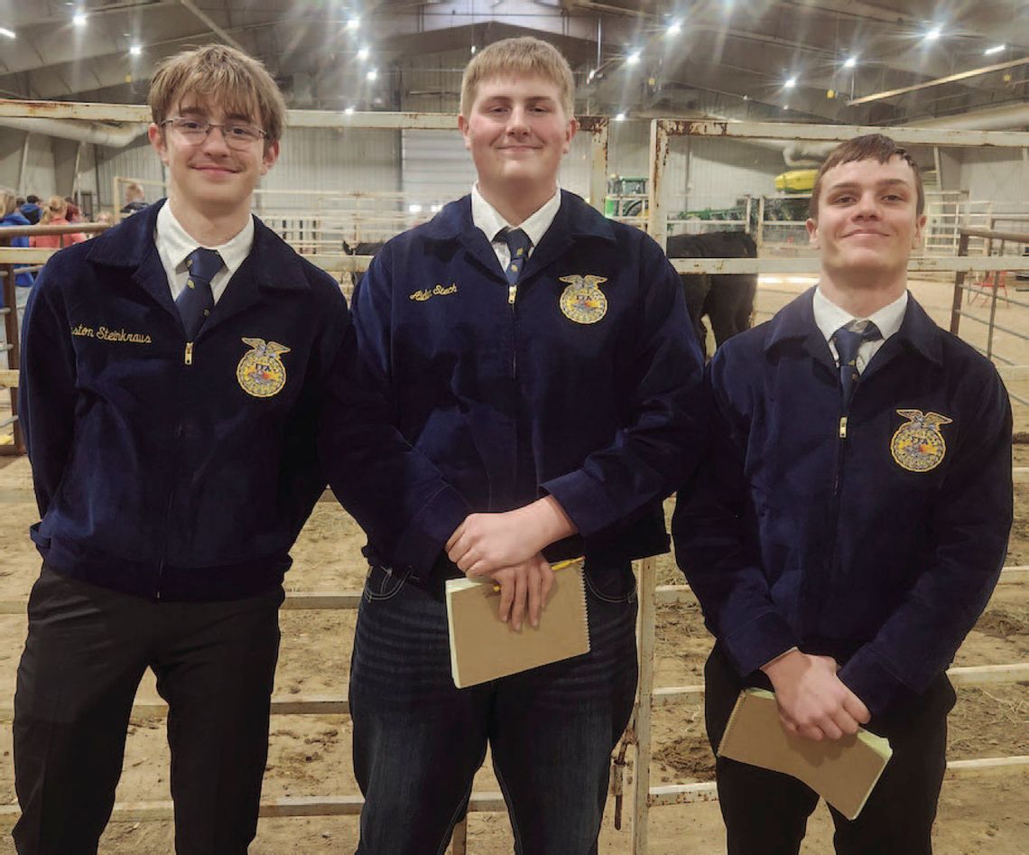FFA members evaluate livestock at districts