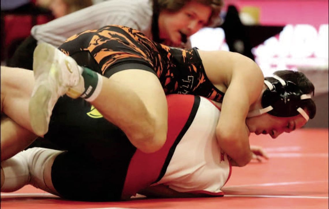 Gardner, Vinson lead Tiger wrestlers at Winside