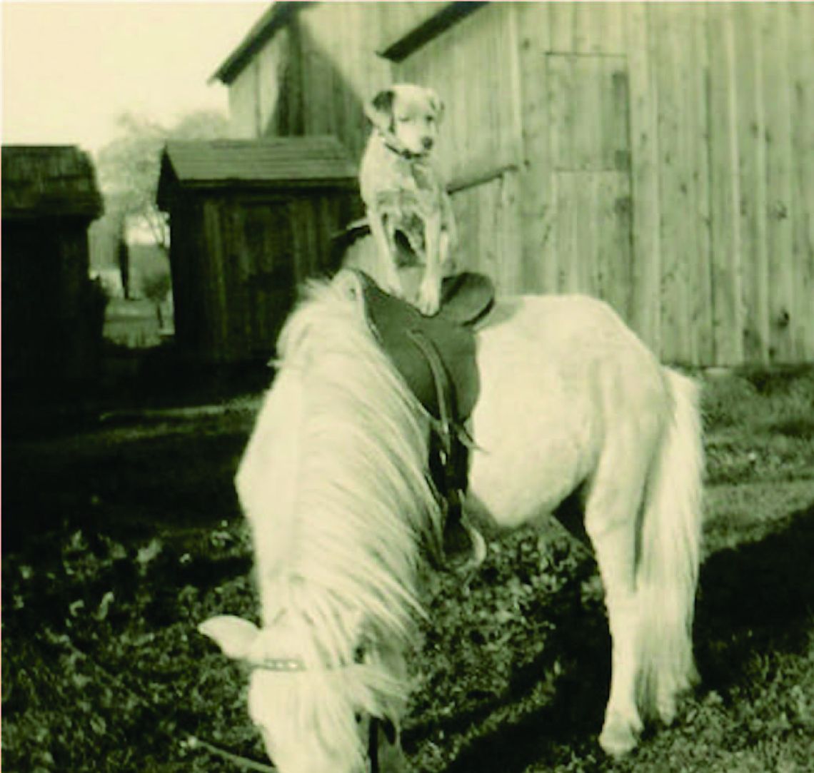 Gentry’s Dog and Pony Show in Nebraska
