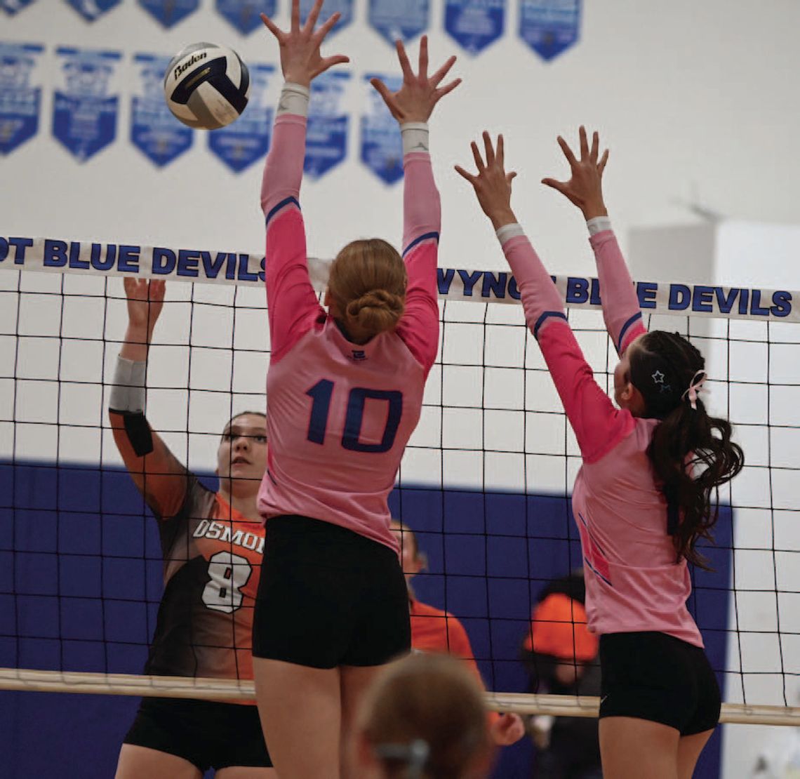 LADY TIGERS FALL IN DISTRICT VOLLEYBALL ACTION