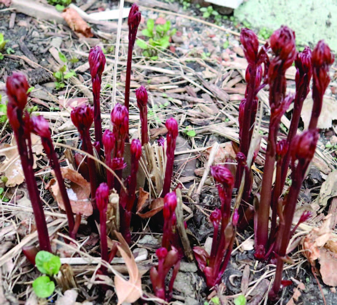 Lower Elkhorn NRD gives its March meeting recap