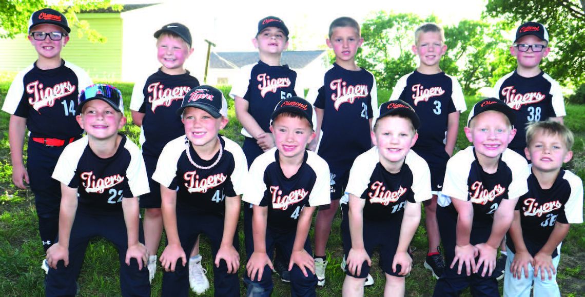 Meet the baseball teams! Meet the baseball teams!