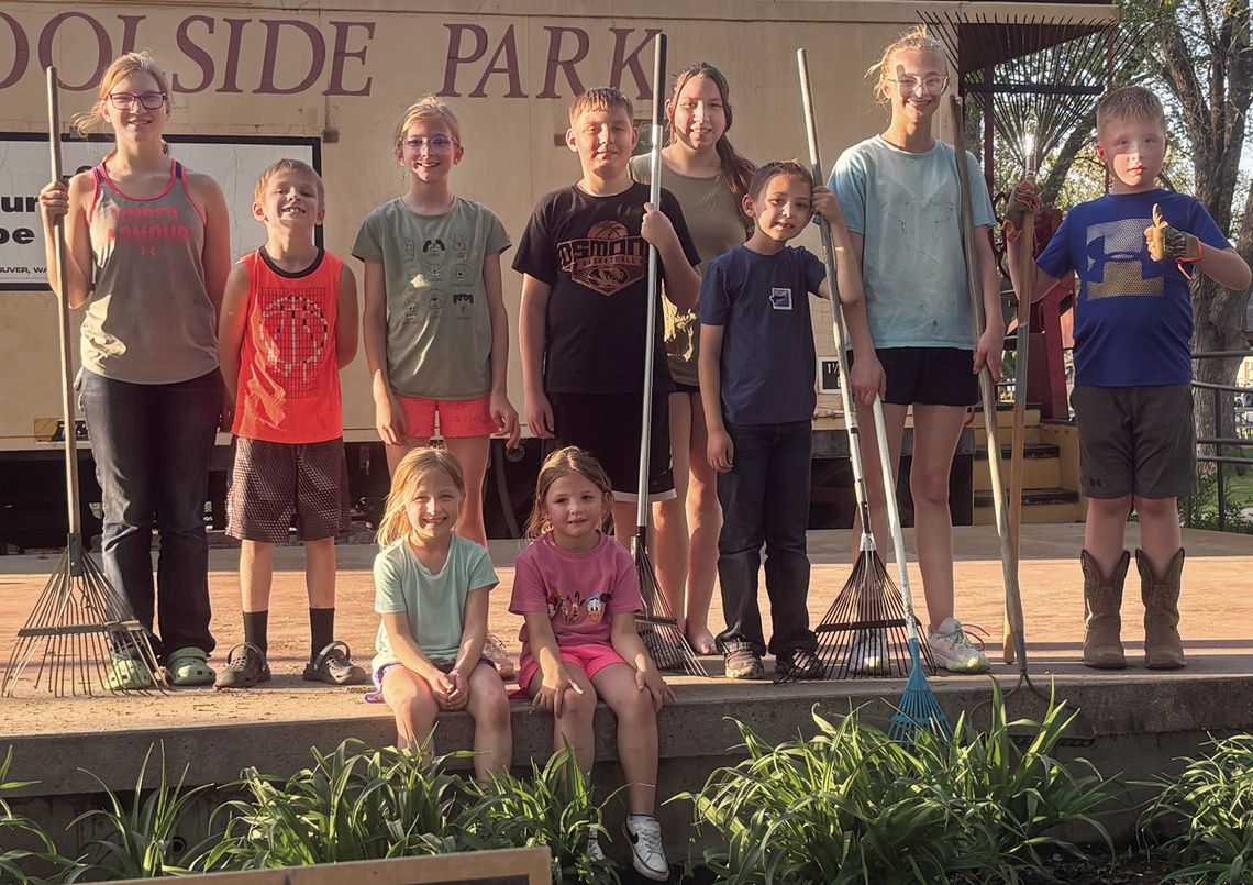 New Osmond All Stars 4-H Club organizes