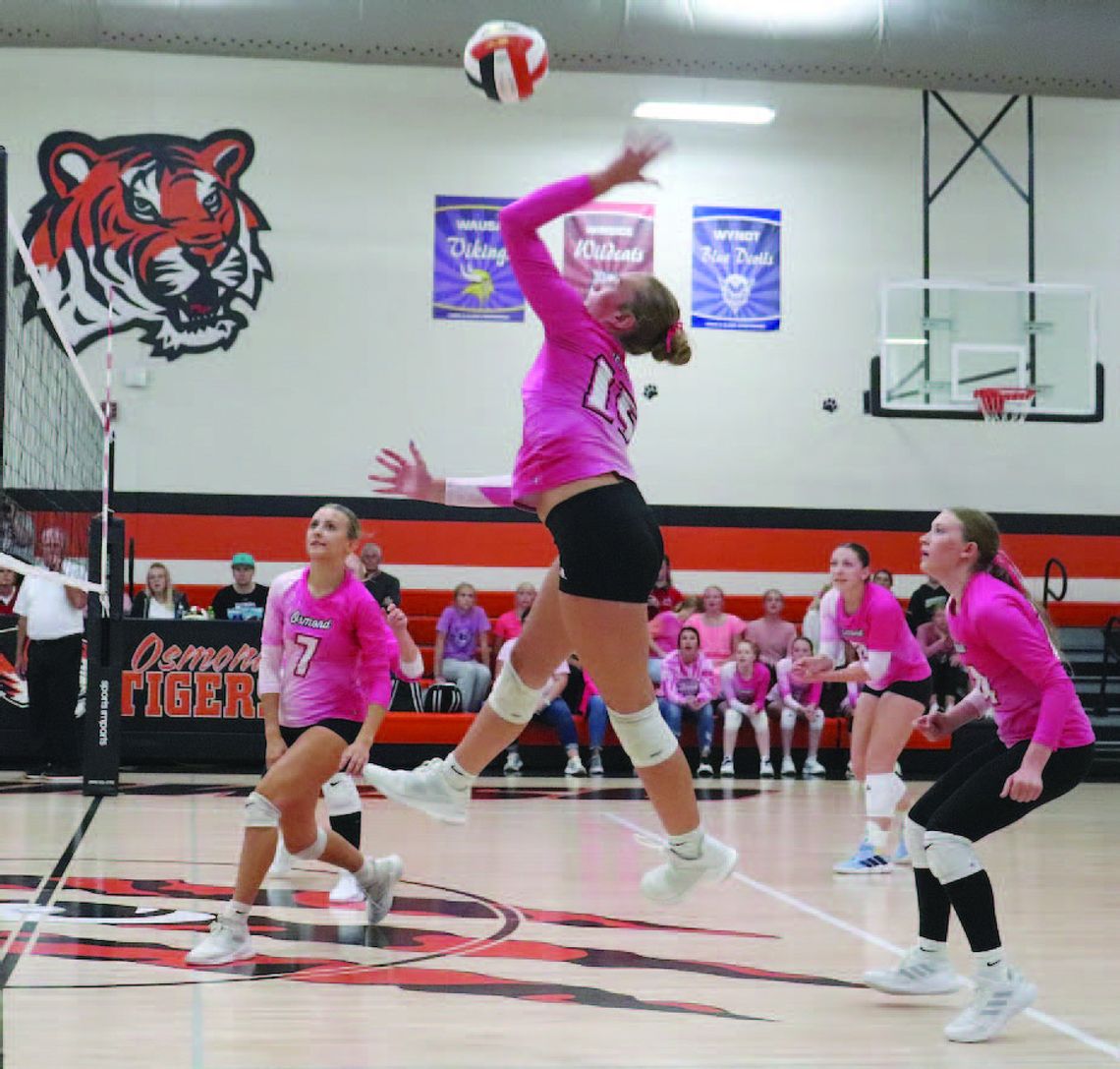 OHS Tiger Tales