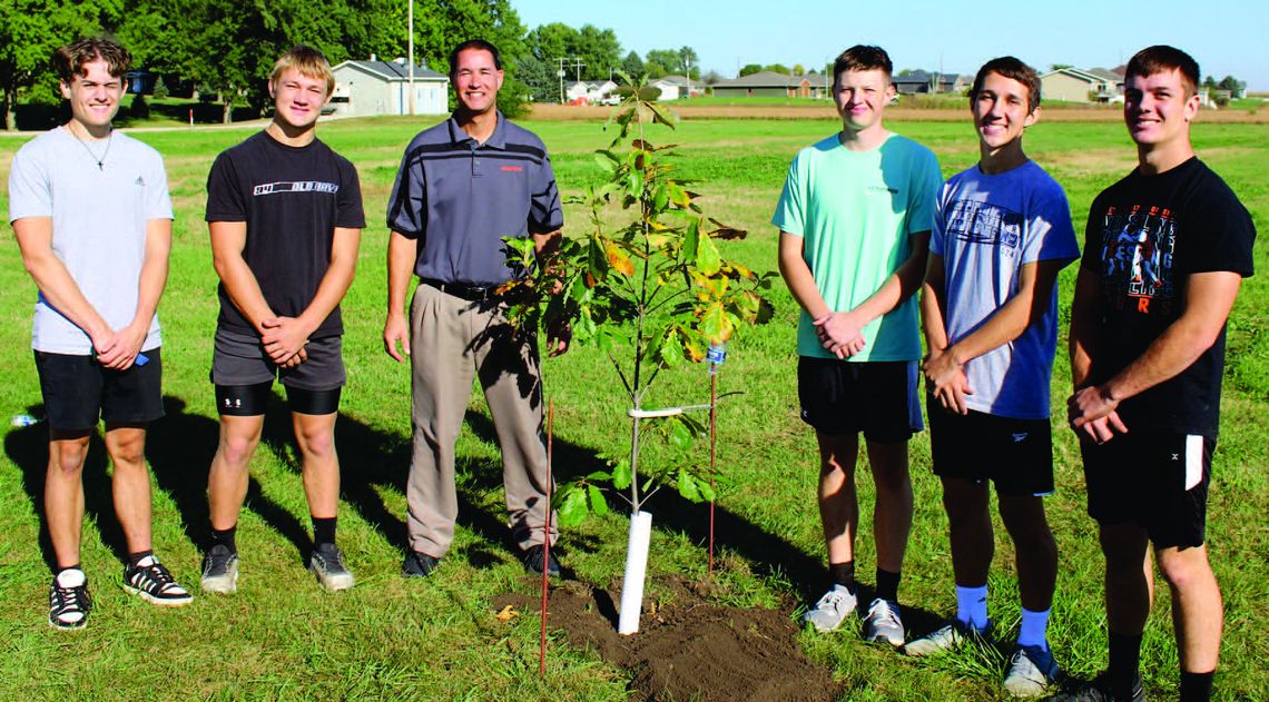 Osmond Tree Board receives grant, free trees for community