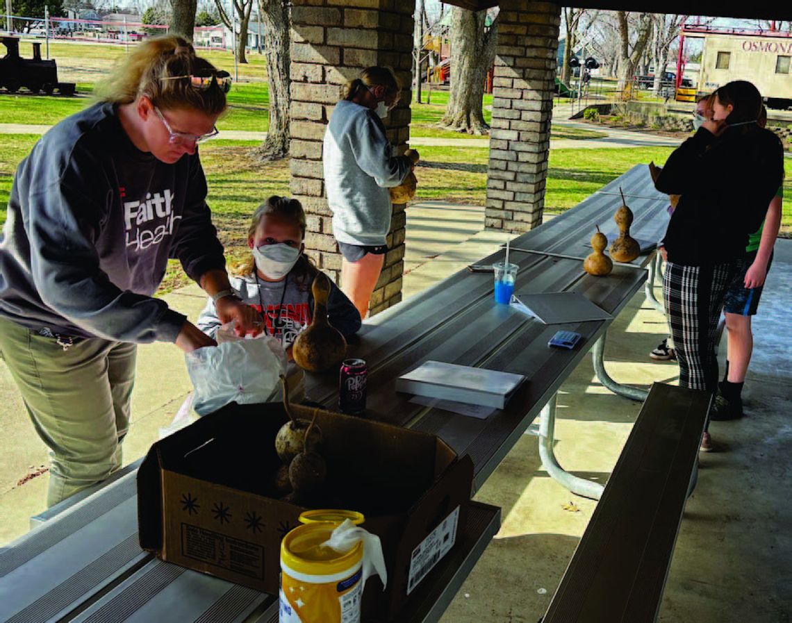 OsmondAll-Stars make gourd bird houses