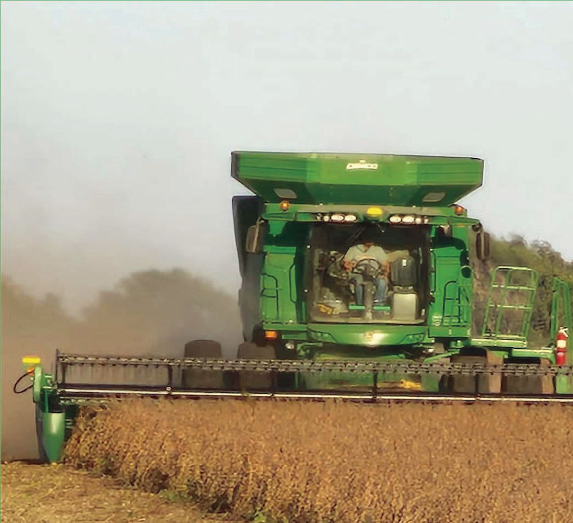 Signs of fall. . . Signs of fall. . .