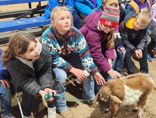 Third-graders Anika Lauck, Raelynn Cunningham, Hayden Frevert and Riggs Anderson of Wausa Public Schools listen to a presentation on goats during the Life on the Farm event. Mark Mahoney | Wausa Gazette